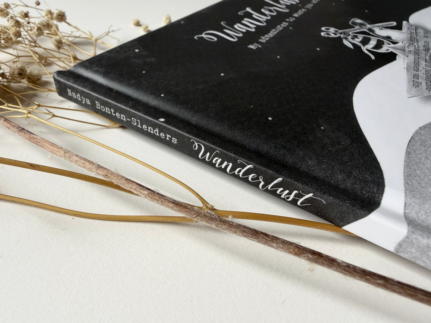 Wanderlust • Wordless Picture Book