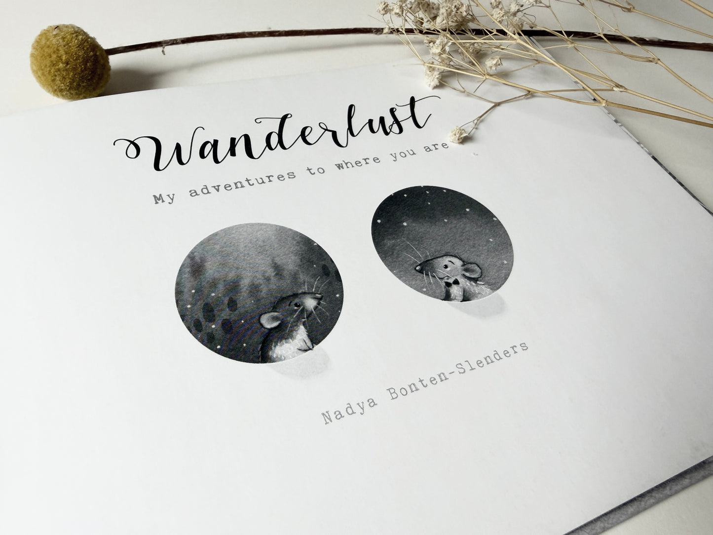 Wanderlust • Wordless Picture Book